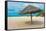 Beautiful Beach in Aruba, Caribbean Islands, Lesser Antilles-mffoto-Framed Stretched Canvas