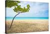 Beautiful Beach in Aruba, Caribbean Islands, Lesser Antilles-mffoto-Stretched Canvas