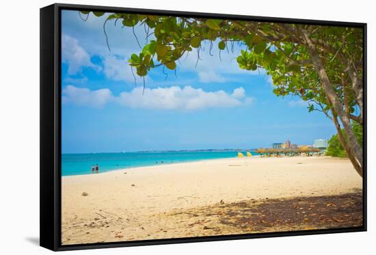 Beautiful Beach in Aruba, Caribbean Islands, Lesser Antilles-mffoto-Framed Stretched Canvas