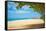 Beautiful Beach in Aruba, Caribbean Islands, Lesser Antilles-mffoto-Framed Stretched Canvas