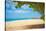 Beautiful Beach in Aruba, Caribbean Islands, Lesser Antilles-mffoto-Stretched Canvas