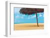 Beautiful Beach in Aruba, Caribbean Islands, Lesser Antilles-mffoto-Framed Photographic Print