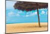 Beautiful Beach in Aruba, Caribbean Islands, Lesser Antilles-mffoto-Mounted Photographic Print