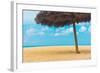 Beautiful Beach in Aruba, Caribbean Islands, Lesser Antilles-mffoto-Framed Photographic Print