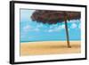 Beautiful Beach in Aruba, Caribbean Islands, Lesser Antilles-mffoto-Framed Photographic Print