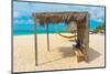 Beautiful Beach in Aruba, Caribbean Islands, Lesser Antilles-mffoto-Mounted Photographic Print