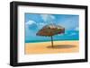 Beautiful Beach in Aruba, Caribbean Islands, Lesser Antilles-mffoto-Framed Photographic Print