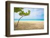 Beautiful Beach in Aruba, Caribbean Islands, Lesser Antilles-mffoto-Framed Photographic Print