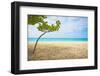 Beautiful Beach in Aruba, Caribbean Islands, Lesser Antilles-mffoto-Framed Photographic Print