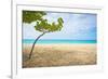 Beautiful Beach in Aruba, Caribbean Islands, Lesser Antilles-mffoto-Framed Photographic Print