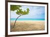 Beautiful Beach in Aruba, Caribbean Islands, Lesser Antilles-mffoto-Framed Photographic Print