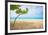 Beautiful Beach in Aruba, Caribbean Islands, Lesser Antilles-mffoto-Framed Photographic Print