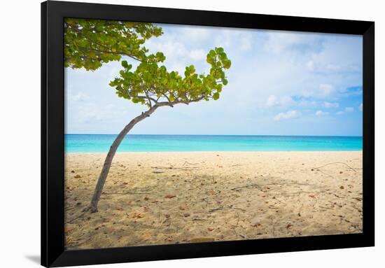 Beautiful Beach in Aruba, Caribbean Islands, Lesser Antilles-mffoto-Framed Photographic Print