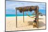 Beautiful Beach in Aruba, Caribbean Islands, Lesser Antilles-mffoto-Mounted Photographic Print