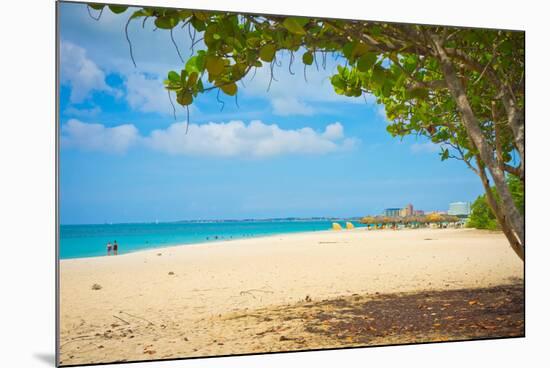 Beautiful Beach in Aruba, Caribbean Islands, Lesser Antilles-mffoto-Mounted Photographic Print