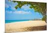 Beautiful Beach in Aruba, Caribbean Islands, Lesser Antilles-mffoto-Mounted Photographic Print