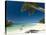 Beautiful Beach in Nosy Iranja, a Little Island Near Nosy Be, Madagascar, Indian Ocean, Africa-Michael Runkel-Stretched Canvas