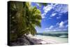 Beautiful Beach of Alphonse Island, Seychelles-Matt Jones-Stretched Canvas