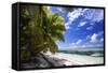 Beautiful Beach of Alphonse Island, Seychelles-Matt Jones-Framed Stretched Canvas