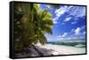 Beautiful Beach of Alphonse Island, Seychelles-Matt Jones-Framed Stretched Canvas