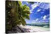 Beautiful Beach of Alphonse Island, Seychelles-Matt Jones-Stretched Canvas