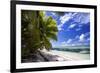 Beautiful Beach of Alphonse Island, Seychelles-Matt Jones-Framed Photographic Print