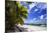 Beautiful Beach of Alphonse Island, Seychelles-Matt Jones-Mounted Photographic Print