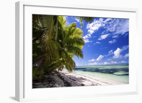 Beautiful Beach of Alphonse Island, Seychelles-Matt Jones-Framed Photographic Print