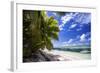 Beautiful Beach of Alphonse Island, Seychelles-Matt Jones-Framed Photographic Print