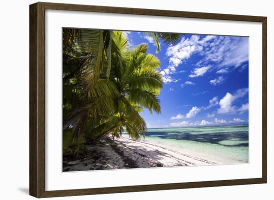 Beautiful Beach of Alphonse Island, Seychelles-Matt Jones-Framed Photographic Print