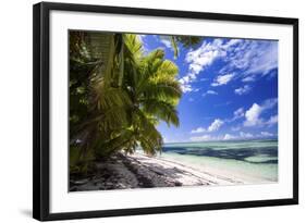 Beautiful Beach of Alphonse Island, Seychelles-Matt Jones-Framed Photographic Print