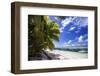 Beautiful Beach of Alphonse Island, Seychelles-Matt Jones-Framed Photographic Print