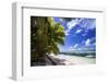 Beautiful Beach of Alphonse Island, Seychelles-Matt Jones-Framed Photographic Print