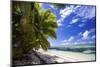 Beautiful Beach of Alphonse Island, Seychelles-Matt Jones-Mounted Photographic Print