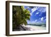 Beautiful Beach of Alphonse Island, Seychelles-Matt Jones-Framed Photographic Print