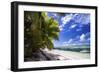 Beautiful Beach of Alphonse Island, Seychelles-Matt Jones-Framed Photographic Print