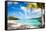 Beautiful Beach on Bora Bora Island in French Polynesia-BlueOrange Studio-Framed Stretched Canvas