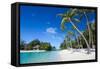 Beautiful Beach on Bora Bora Island in French Polynesia-BlueOrange Studio-Framed Stretched Canvas