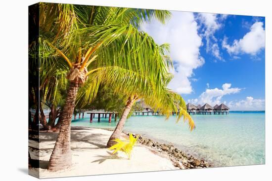 Beautiful Beach on Bora Bora Island in French Polynesia-BlueOrange Studio-Stretched Canvas