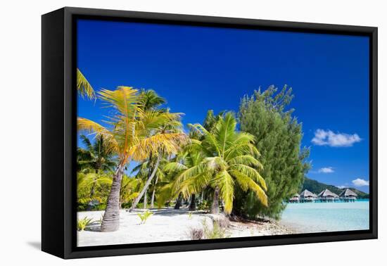 Beautiful Beach on Bora Bora Island in French Polynesia-BlueOrange Studio-Framed Stretched Canvas