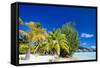 Beautiful Beach on Bora Bora Island in French Polynesia-BlueOrange Studio-Framed Stretched Canvas