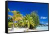 Beautiful Beach on Bora Bora Island in French Polynesia-BlueOrange Studio-Framed Stretched Canvas