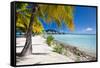 Beautiful Beach on Bora Bora Island in French Polynesia-BlueOrange Studio-Framed Stretched Canvas