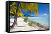 Beautiful Beach on Bora Bora Island in French Polynesia-BlueOrange Studio-Framed Stretched Canvas