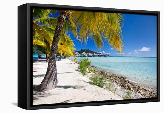 Beautiful Beach on Bora Bora Island in French Polynesia-BlueOrange Studio-Framed Stretched Canvas