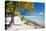 Beautiful Beach on Bora Bora Island in French Polynesia-BlueOrange Studio-Stretched Canvas