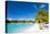 Beautiful Beach on Bora Bora Island in French Polynesia-BlueOrange Studio-Stretched Canvas