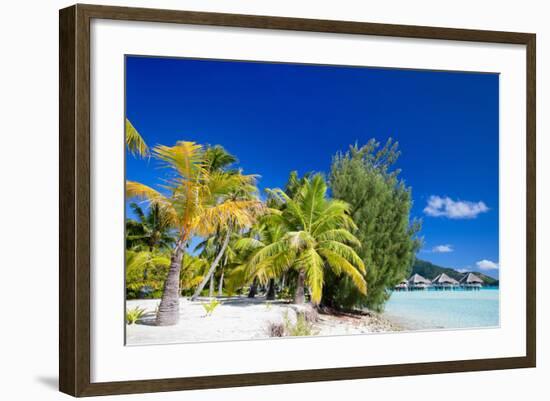 Beautiful Beach on Bora Bora Island in French Polynesia-BlueOrange Studio-Framed Photographic Print