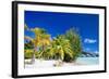 Beautiful Beach on Bora Bora Island in French Polynesia-BlueOrange Studio-Framed Photographic Print