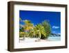 Beautiful Beach on Bora Bora Island in French Polynesia-BlueOrange Studio-Framed Photographic Print